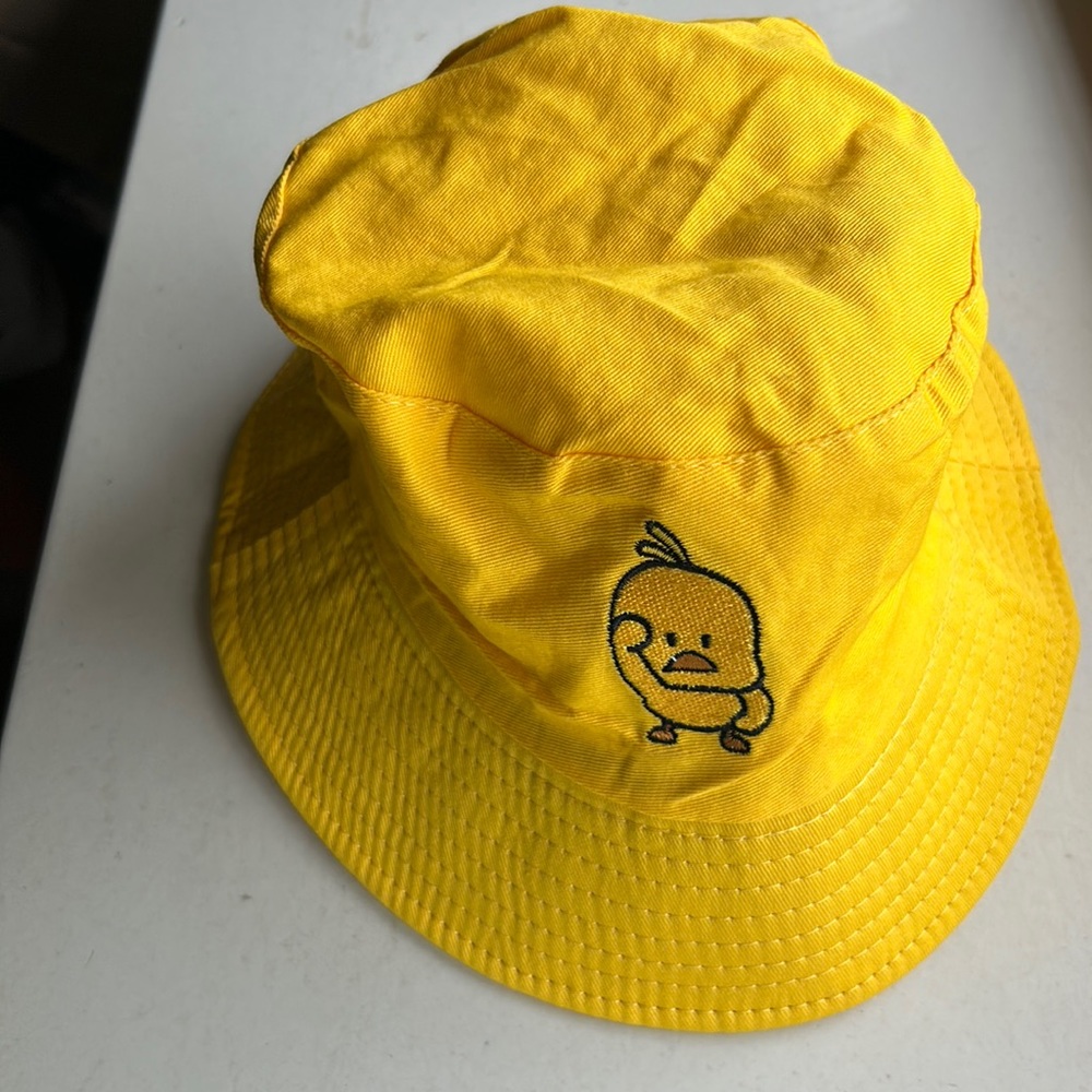 Reversible duck hat